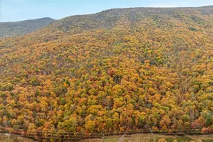 875 Hunter Ln, Edinburg, VA 22824 - Photo 56