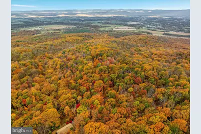 875 Hunter Lane, Edinburg, VA 22824 - Photo 52