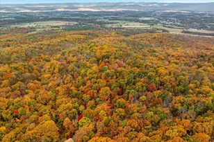 875 Hunter Ln, Edinburg, VA 22824 - Photo 52