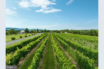 875 Hunter Lane, Edinburg, VA 22824 - Photo 72