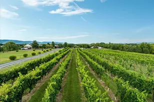 875 Hunter Ln, Edinburg, VA 22824 - Photo 72