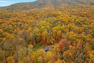 875 Hunter Ln, Edinburg, VA 22824 - Photo 48