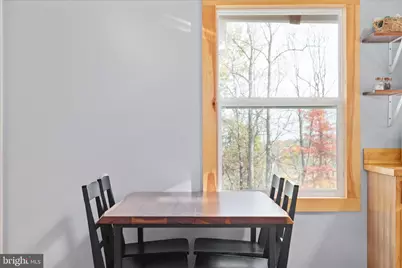 875 Hunter Lane, Edinburg, VA 22824 - Photo 36