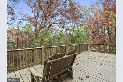 290 Hickory Lane, Mount Jackson, VA 22842 - Photo 38