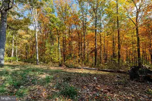 115 Risk Rd, New Market, VA 22844 - Photo 40