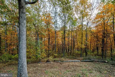 115 Risk Road, New Market, VA 22844 - Photo 36