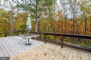 115 Risk Rd, New Market, VA 22844 - Photo 24