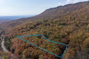 115 Risk Rd, New Market, VA 22844 - Photo 48