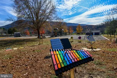 484 E Queen Street, Strasburg, VA 22657 - Photo 42