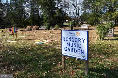 484 E Queen Street, Strasburg, VA 22657 - Photo 50