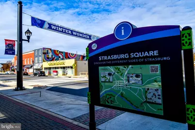 484 E Queen Street, Strasburg, VA 22657 - Photo 48