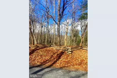 Spitz Lane, Basye, VA 22810 - Photo 18