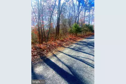 Spitz Lane, Basye, VA 22810 - Photo 16