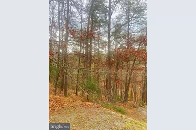 Spitz Lane, Basye, VA 22810 - Photo 12