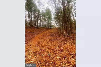 Spitz Lane, Basye, VA 22810 - Photo 2