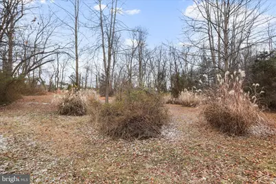 717 W Locust Street, Woodstock, VA 22664 - Photo 62