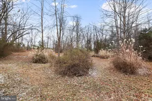 717 W Locust St, Woodstock, VA 22664 - Photo 62