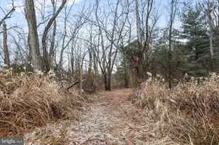 717 W Locust St, Woodstock, VA 22664 - Photo 64