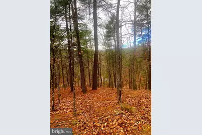 King St., Basye, VA 22810 - Photo 1