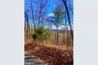 Spitz Lane, Basye, VA 22810 - Photo 1