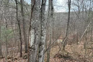 0 Crab Apple, Mount Jackson, VA 22842 - Photo 1