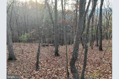 0 Straton, Basye, VA 22810 - Photo 2