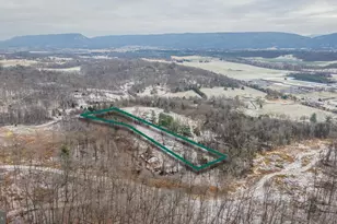 291 Wild Rose Ln, New Market, VA 22844 - Photo 18