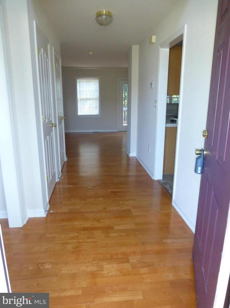 3807 E Forester Ct, Fredericksburg, VA 22408