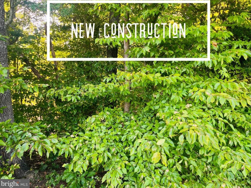 10052 Fairview Rd, Partlow, VA 22534
