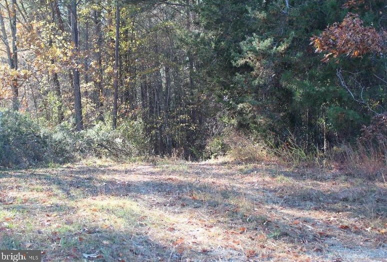 4424 Twilight Ln, Spotsylvania, VA 22551
