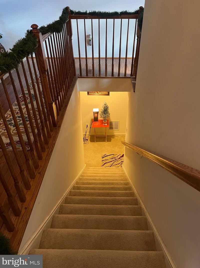 5217 Joshua Tree Cir, Fredericksburg, VA 22407