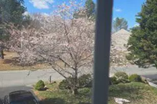 3503 Lancaster Ring Rd, Fredericksburg, VA 22408 - Photo 22