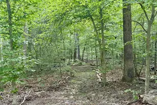 8800 Millwood Dr, Spotsylvania, VA 22551 - Photo 32