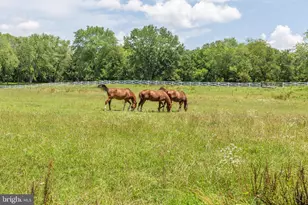 12520 Paige Ln, Fredericksburg, VA 22407 - Photo 86