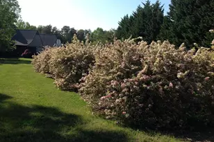 12520 Paige Ln, Fredericksburg, VA 22407 - Photo 106