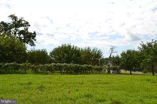 6830 Black Rock Dr, Spotsylvania, VA 22551 - Photo 66