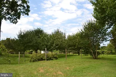 6830 Black Rock Drive, Spotsylvania, VA 22551 - Photo 68