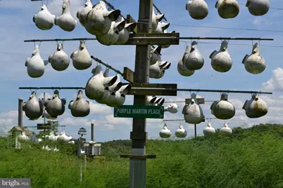 6830 Black Rock Drive, Spotsylvania, VA 22551 - Photo 30