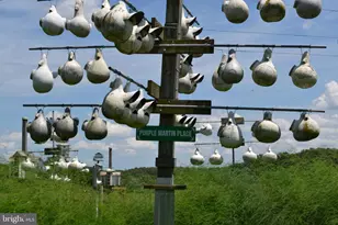 6830 Black Rock Dr, Spotsylvania, VA 22551 - Photo 30