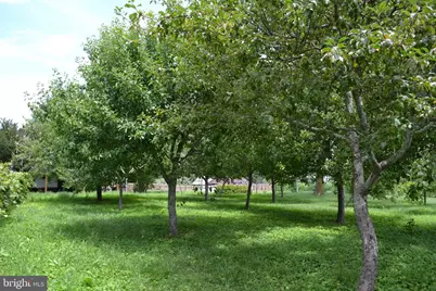 6830 Black Rock Drive, Spotsylvania, VA 22551 - Photo 10