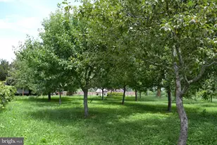 6830 Black Rock Dr, Spotsylvania, VA 22551 - Photo 10