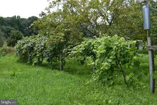 6830 Black Rock Dr, Spotsylvania, VA 22551 - Photo 8