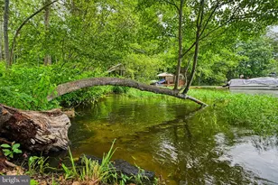 5727 Private Rd, Mineral, VA 23117 - Photo 42