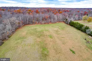 10812 Millridge Ln, Spotsylvania, VA 22553 - Photo 44