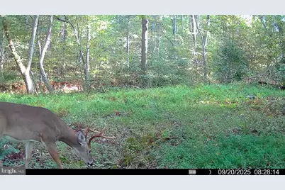 10812 Millridge Lane, Spotsylvania, VA 22553 - Photo 28