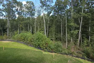 8901 Blackthorne Pl, Fredericksburg, VA 22408 - Photo 28