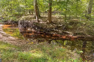 12905 Spotswood Furnace Rd, Fredericksburg, VA 22407 - Photo 62