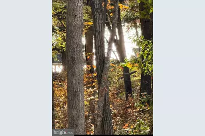 6820 John Taylor Lane, Orange, VA 22960 - Photo 46