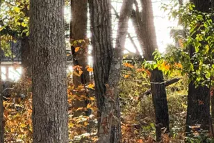 6820 John Taylor Ln, Orange, VA 22960 - Photo 46