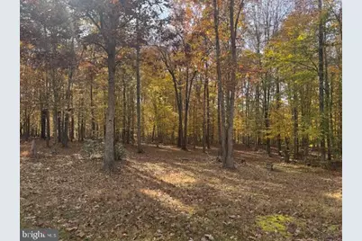 9306 Rapidan Drive, Fredericksburg, VA 22407 - Photo 4